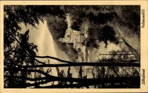 Ak Lillafüred Ungarn, Landschaft mit Schloss, Bäume im Vordergrund, schwarz-weiß