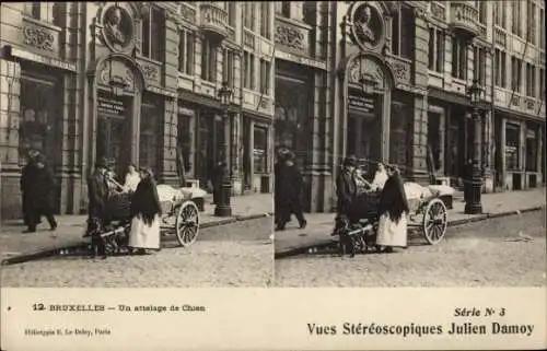 Ak Bruxelles Brüssel, Hundegeleit, Stadtansicht, 3D-Fotografie, historische Architektur