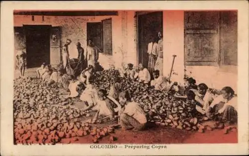 PC Colombo Ceylon Sri Lanka, Preparing Copra