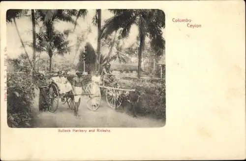 Ak Colombo Ceylon Sri Lanka, Bullock Hackery und Richsha