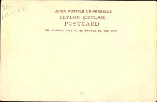 Ak Colombo Ceylon Sri Lanka, Bullock Hackery und Richsha