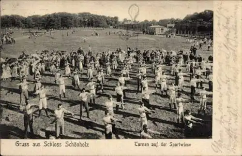 Ak Berlin Pankow Niederschönhausen Schönholz, Schloss Schönholz, Turnen auf der Sportwiese