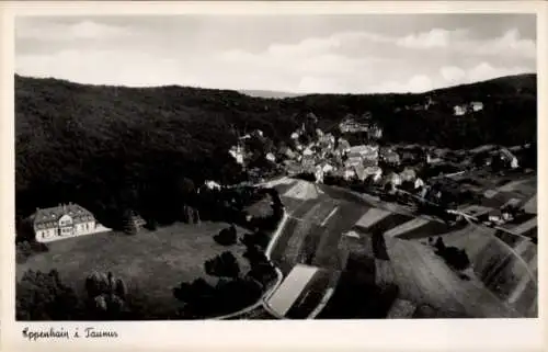 Ak Eppenhain Kelkheim im Taunus, Fliegeraufnahme