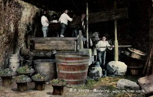 Ak Insel Madeira Portugal, Lagar de fazer vinho, Weinmühle, Auspressen der Trauben