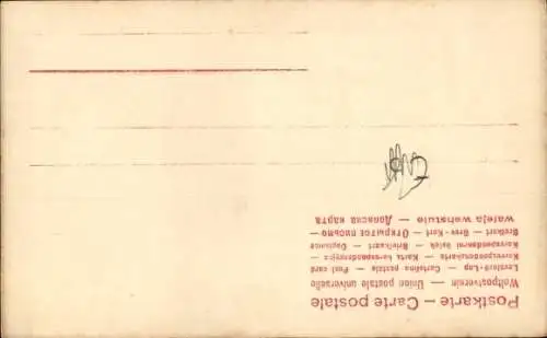 Ak König Christian IX. von Dänemark, Portrait, Orden