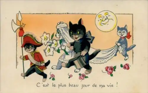 Ak C'est le plus beau Jour de ma vie, Katzen