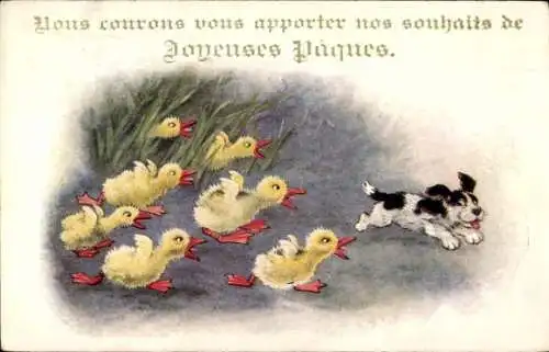 Ak Glückwunsch Ostern, Küken jagen einen Hund