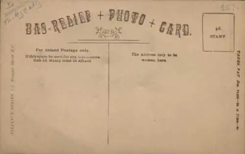 Ak Katze, Tierportrait