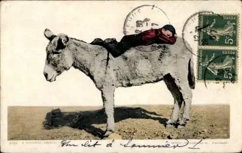 Ak Kanada, Junge auf einem Esel