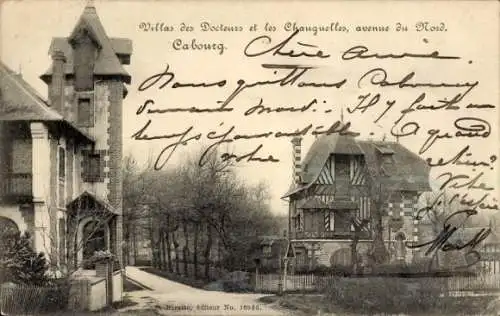 CPA Cabourg Calvados, Villas des Docteurs et les Changuelles, Avenue du Nord