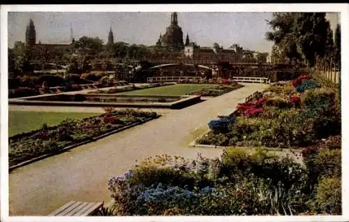 Ak Dresden Altstadt Friedrichstadt, Bunte Blumenbeete, Parklandschaft, Stadtansicht, Brücke im...