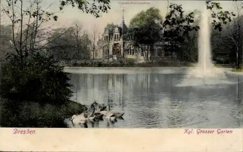 Ak Dresden Altstadt Friedrichstadt, Carola-Schlösschen, Kgl. Grosser Garten, Wasserspiel, Schwäne