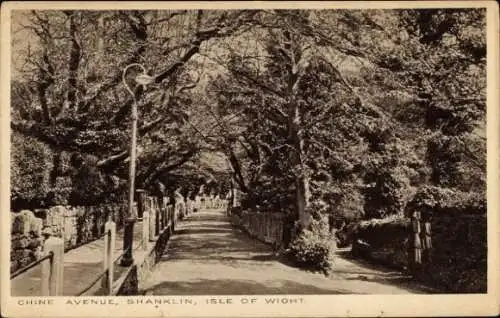 Ak Shanklin Isle of Wight England, Bäume, Weg, Laterne, Chine Avenue