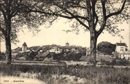Ak Avenches Kanton Waadt, Stadtansicht von  Bäume im Vordergrund, Hausdächer, Kirchturm