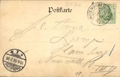 Ak Ahrensburg in Holstein, Luisen Höh