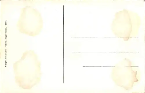 Ak Ungarn, Gyufagyárak