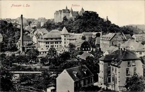 Ak Nossen Landkreis Meißen, Panorma mit Schloss