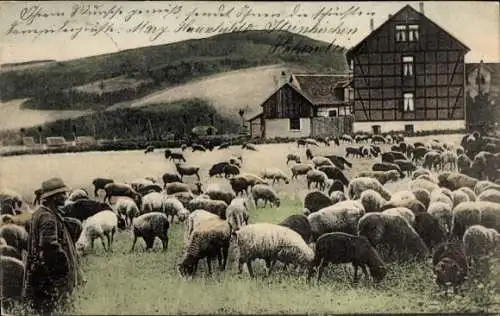 Ak Grasende Schafe, Hirte