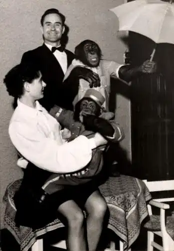 Foto Agentur Figini, Schimpansen