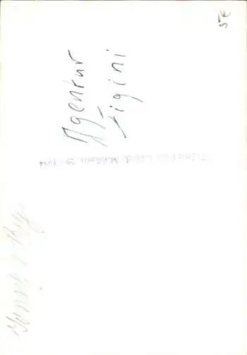 Foto Agentur Figini, Schimpansen