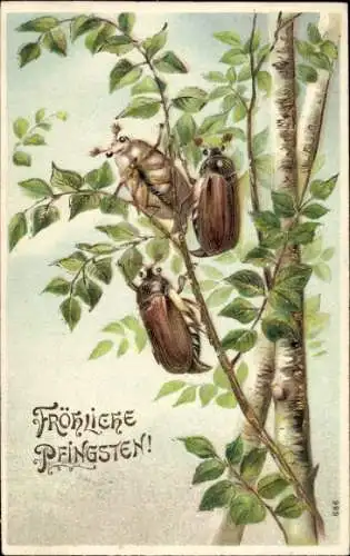 Ak Fröhliche Pfingsten, drei Maikäfer im Baum