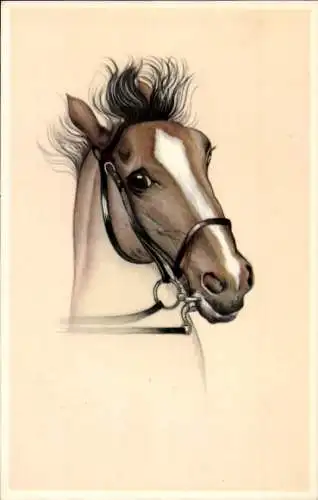 Ak Braunes Pferd, Kopfstudie, Zaumzeug