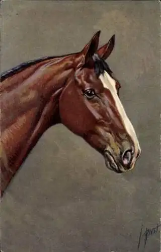 Künstler Ak Braunes Pferd, Kopfstudie, Gemaltes Bild