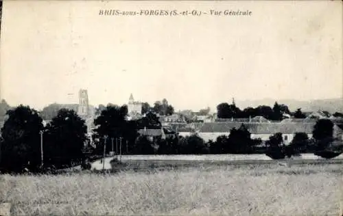 CPA Briis sous Forges Essonne, Vue Générale
