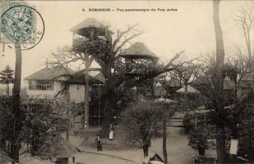 Ak Robinson Hauts de Seine, Vue panoramique du Vrai Arbre