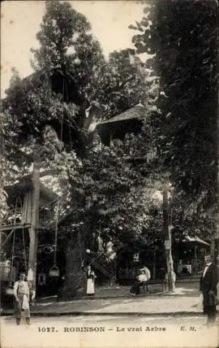 Ak Robinson Hauts de Seine, Le vrai Arbre