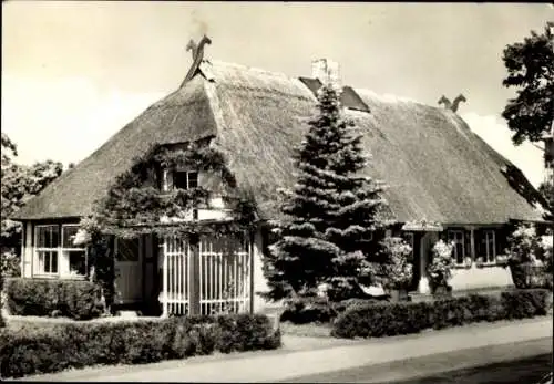 Ak Ostseebad Müritz Graal-Müritz, Altes Landhaus, Reetdach, Bäume, Blütensträucher, Strasse, S...