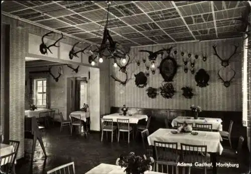 Ak Moritzburg in Sachsen, Innenszene mit Tischen, Stühlen, Tierkopfpräparaten, Charakteristike...