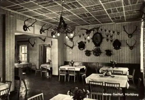 Ak Moritzburg in Sachsen, Adams Gasthof