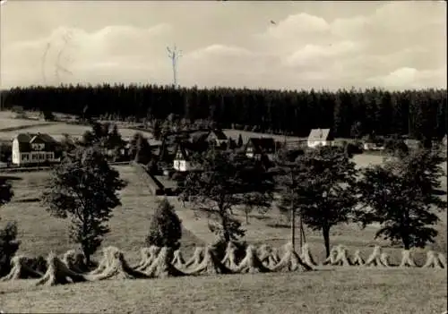 Ak Falkenhain Altenberg im Erzgebirge, Landschaft mit Häusern, Wäldern, Wiesen, Heuballen