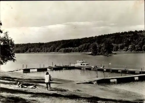 Ak Neuruppin in Brandenburg, Landschaft am See, Steg mit Booten, Personen am Ufer, Bäume