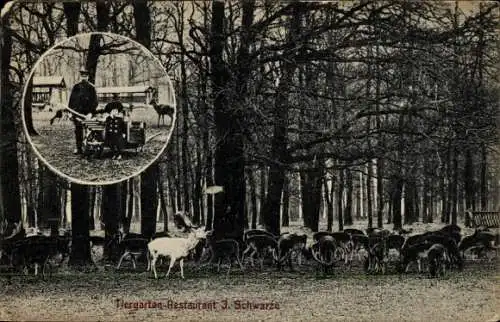 Ak Kirchrode Hannover in Niedersachsen, Tiergarten Restaurant