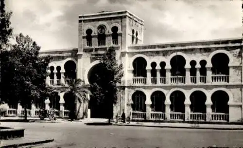 Ak Djibouti Dschibuti, Historisches Gebäude, Architektonische Details, Palmbaum, Schwarz-Weiß-Bil