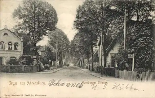 Ak Ahrensburg in Holstein, Hamburger Strasse