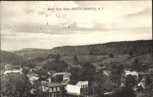 Ak North Branch New York USA, Teilansicht