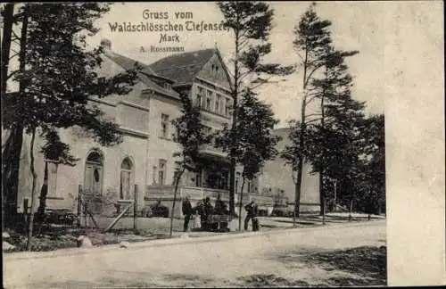 Ak Tiefensee Werneuchen in der Mark, Gasthaus Waldschlösschen