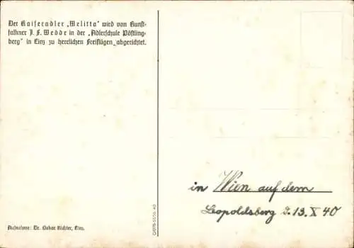 Ak Vogel, Kaiseradler, Tierportrait