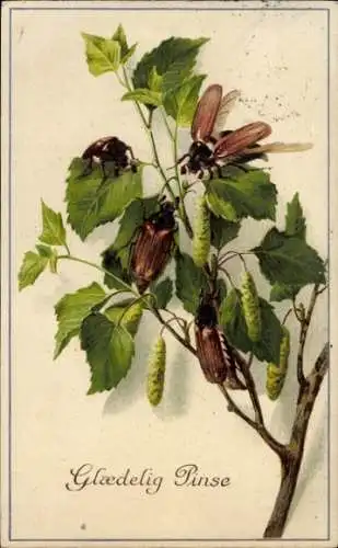 Ak Glückwunsch Pfingsten, Maikäfer, Laubblätter