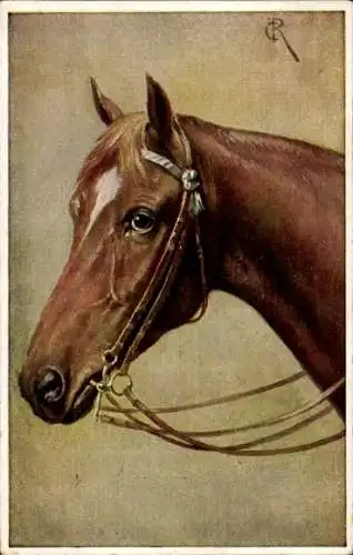 Künstler Ak Pferd, Pferdekopf