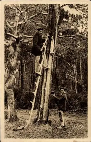 CPA Landes de Gascogne, Résiniers au travail