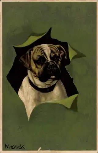 Künstler Ak Mailick, Boxer, Hund