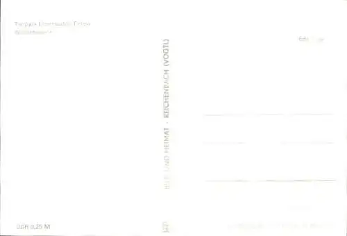 Ak Finow Eberswalde in der Mark, Wildschweine im Tierpark