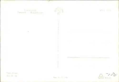 Ak Eberswalde in der Mark, Tierpark Eberswalde, Braunbären