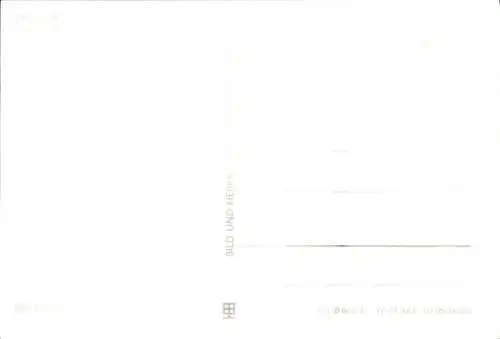 Ak Eberswalde in der Mark, Tierpark Eberswalde, Braunbären