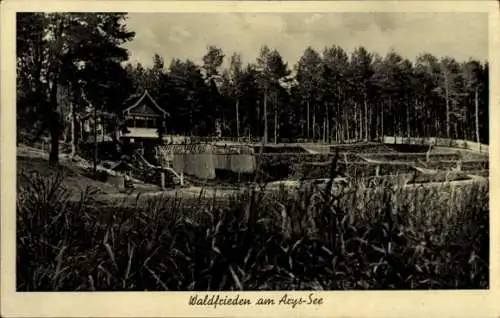 Ak Orzysz Arys Ostpreußen, Waldfrieden am Arys See