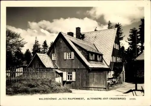 Ak Altenberg im Erzgebirge, Waldschänke 'Altes Raupennest', Holzhaus, Bäume, blauer Himmel